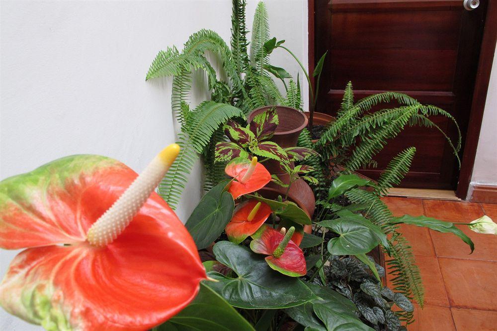 Hotel Frances La Maison Pasto Exteriör bild
